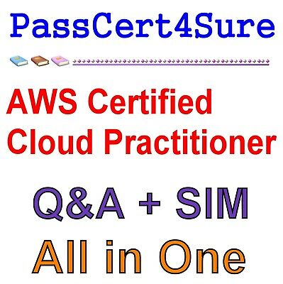Aws Certified Cloud Practitioner Clf-c01 Exam Q&a+sim